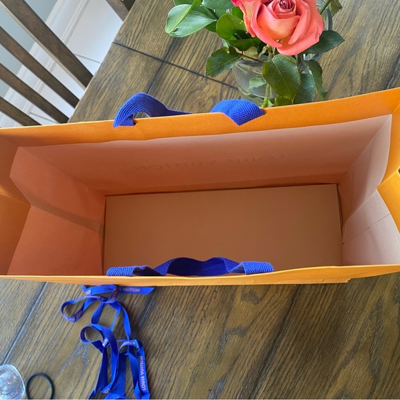 LOUIS VUITTON GIFT BAG - Picture 3 of 6